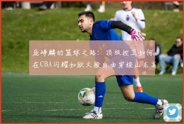 庞峥麟的篮球之路：顶级控卫如何在CBA闪耀如欧文般自由穿梭山东高速