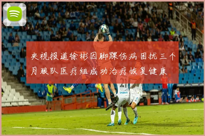 央视报道徐彬因脚踝伤病困扰三个月狼队医疗组成功治疗恢复健康
